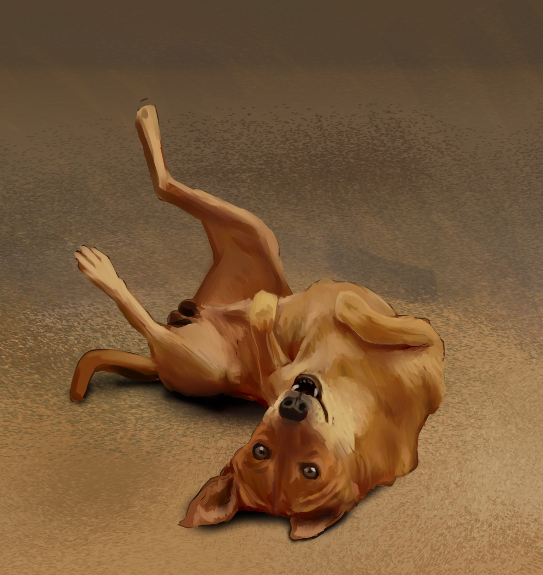 Filename: RexGO (Large).jpg
Size: 695.22 KB07-16-2020, 01:36 PM